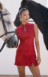 Atalia Mini Dress - Mandarin Collar Jacquard A Line Dress in Red